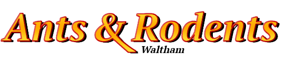 Waltham Ant Exterminator & Rodent Control Company Logo